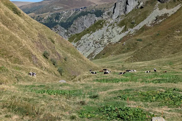 Galerie — Le Puy de Sancy