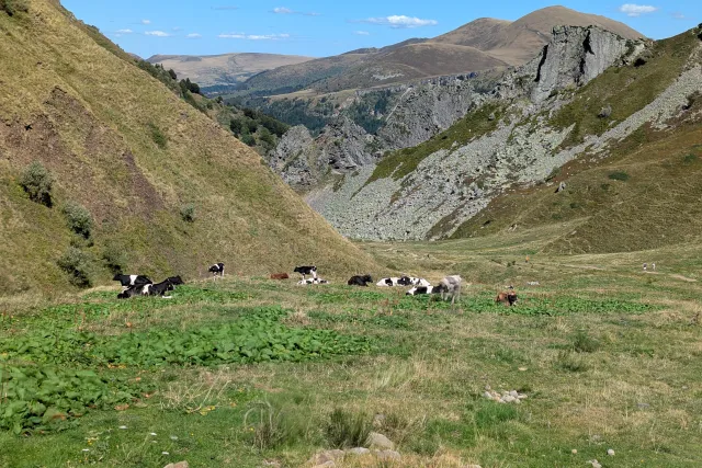 Galerie — Le Puy de Sancy