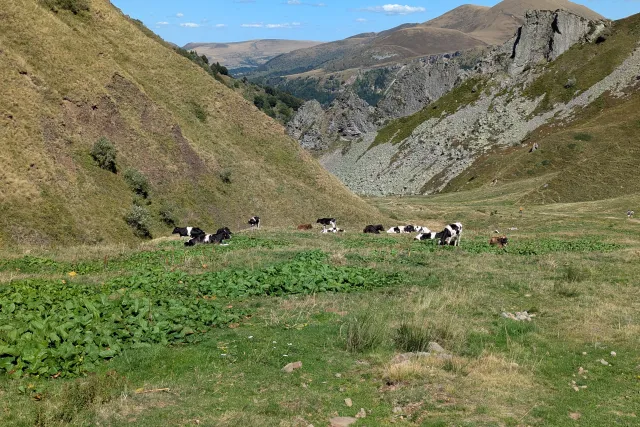 Galerie — Le Puy de Sancy