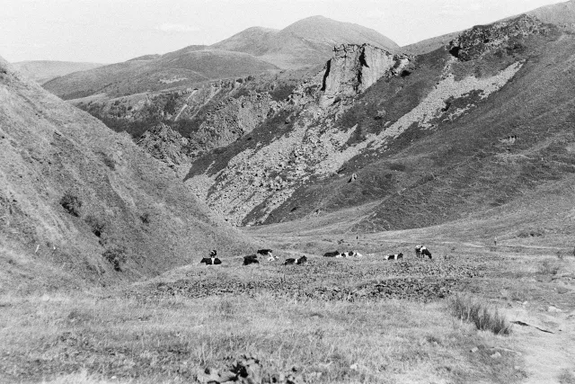 Galerie 3 — Le Puy de Sancy n&b